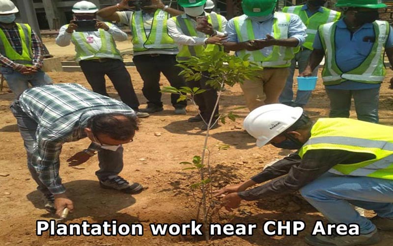Plantation work near CHP Area