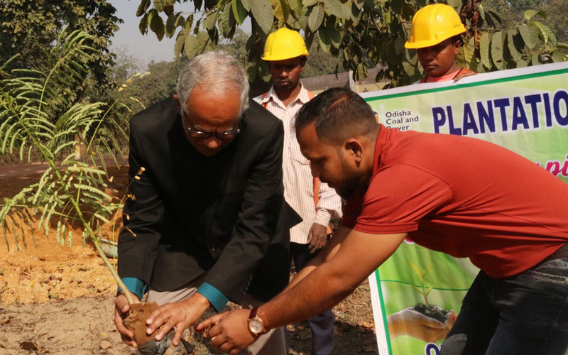 Tree Plantation Drive at Manoharpur Coal Mines to Celebrate the 10th Foundation Day of OCPL #