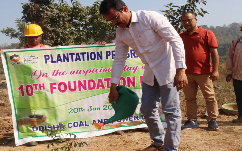 Tree Plantation Drive at Manoharpur Coal Mines to Celebrate the 10th Foundation Day of OCPL #