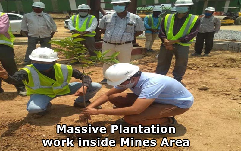 Massive Plantation work inside Mines Area Massive Plantation work inside Mines Area