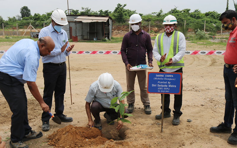 Massive Plantation drive at Manoharpur Coal Mines during the Monthly visit of CEO & AGM(C&CA) Massive Plantation drive at Manoharpur Coal Mines during the Monthly visit of CEO & AGM(C&CA)