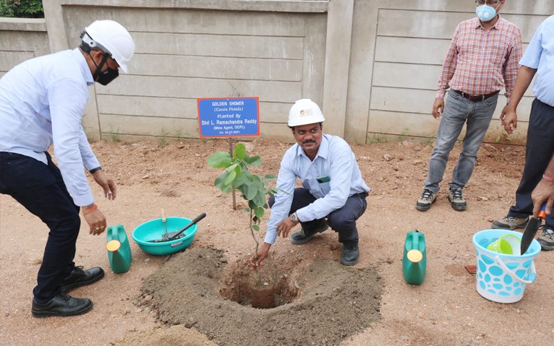 Massive Plantation drive at Manoharpur Coal Mines during the Monthly visit of CEO & AGM(C&CA) Massive Plantation drive at Manoharpur Coal Mines during the Monthly visit of CEO & AGM(C&CA)