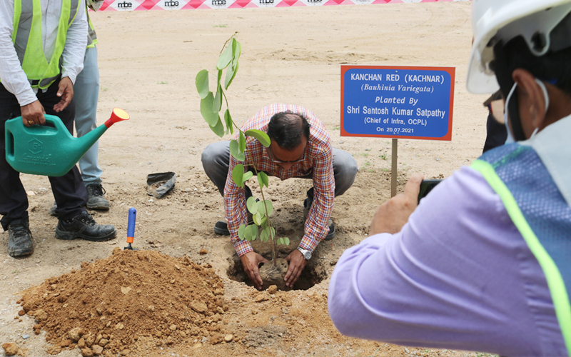 Massive Plantation drive at Manoharpur Coal Mines during the Monthly visit of CEO & AGM(C&CA) Massive Plantation drive at Manoharpur Coal Mines during the Monthly visit of CEO & AGM(C&CA)