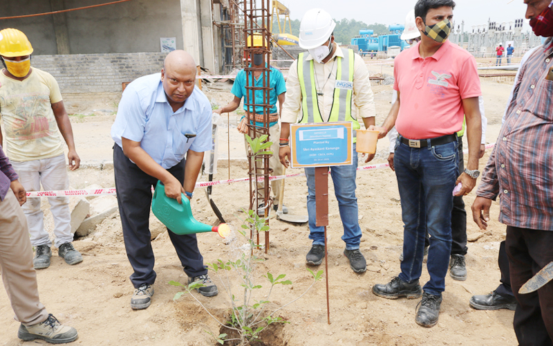 Massive Plantation drive at Manoharpur Coal Mines during the Monthly visit of CEO & AGM(C&CA) Massive Plantation drive at Manoharpur Coal Mines during the Monthly visit of CEO & AGM(C&CA)