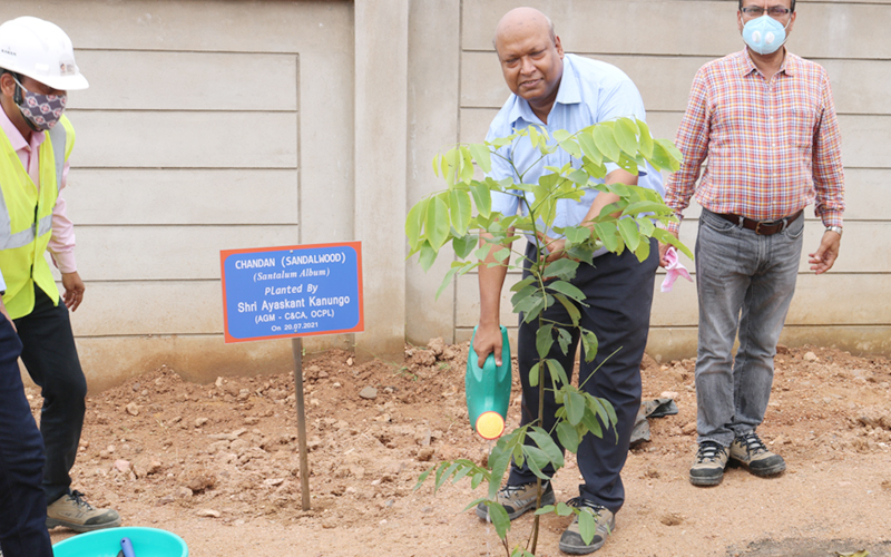 Massive Plantation drive at Manoharpur Coal Mines during the Monthly visit of CEO & AGM(C&CA) Massive Plantation drive at Manoharpur Coal Mines during the Monthly visit of CEO & AGM(C&CA)