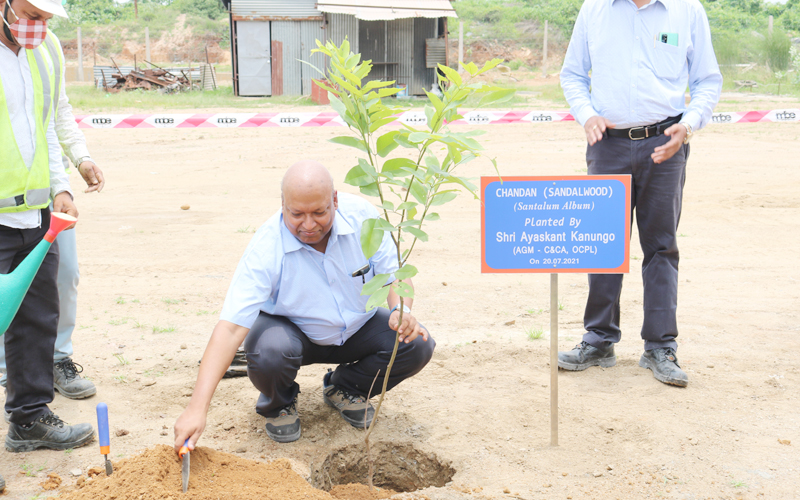 Massive Plantation drive at Manoharpur Coal Mines during the Monthly visit of CEO & AGM(C&CA)