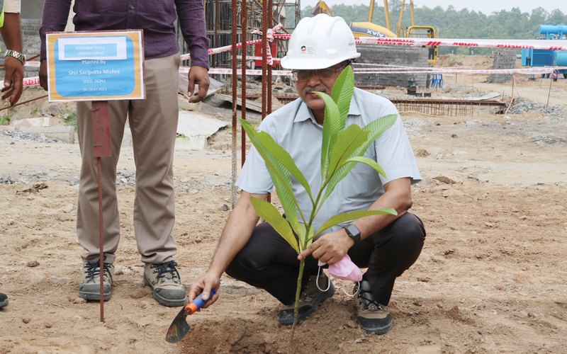 Massive Plantation drive at Manoharpur Coal Mines during the Monthly visit of CEO & AGM(C&CA) Massive Plantation drive at Manoharpur Coal Mines during the Monthly visit of CEO & AGM(C&CA)