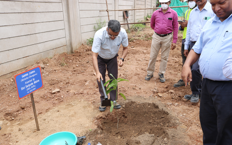 Massive Plantation drive at Manoharpur Coal Mines during the Monthly visit of CEO & AGM(C&CA)