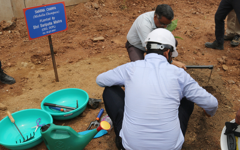 Massive Plantation drive at Manoharpur Coal Mines during the Monthly visit of CEO & AGM(C&CA) Massive Plantation drive at Manoharpur Coal Mines during the Monthly visit of CEO & AGM(C&CA)