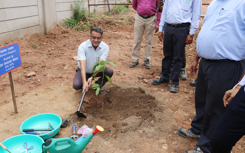 Massive Plantation drive at Manoharpur Coal Mines during the Monthly visit of CEO & AGM(C&CA) Massive Plantation drive at Manoharpur Coal Mines during the Monthly visit of CEO & AGM(C&CA)