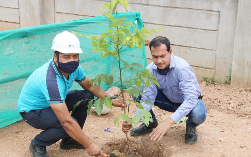Massive Plantation drive at Manoharpur Coal Mines during the Monthly visit of CEO & AGM(C&CA) Massive Plantation drive at Manoharpur Coal Mines during the Monthly visit of CEO & AGM(C&CA)