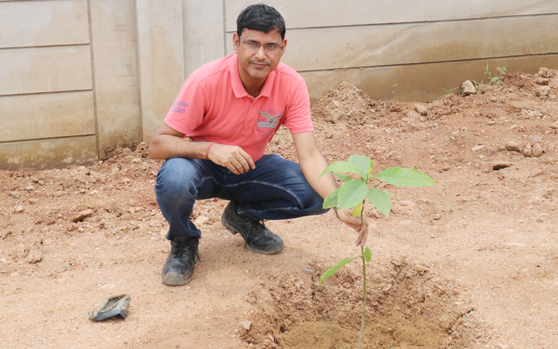 Massive Plantation drive at Manoharpur Coal Mines during the Monthly visit of CEO & AGM(C&CA) Massive Plantation drive at Manoharpur Coal Mines during the Monthly visit of CEO & AGM(C&CA)